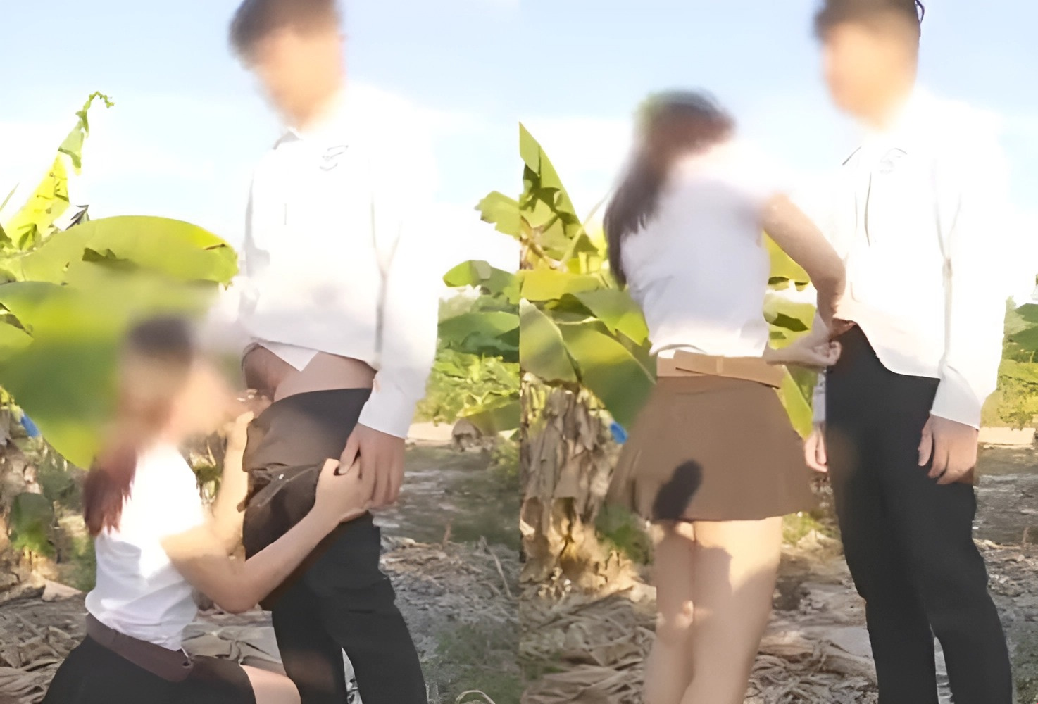 Đưa em rau ra vườn chuối bú cặc